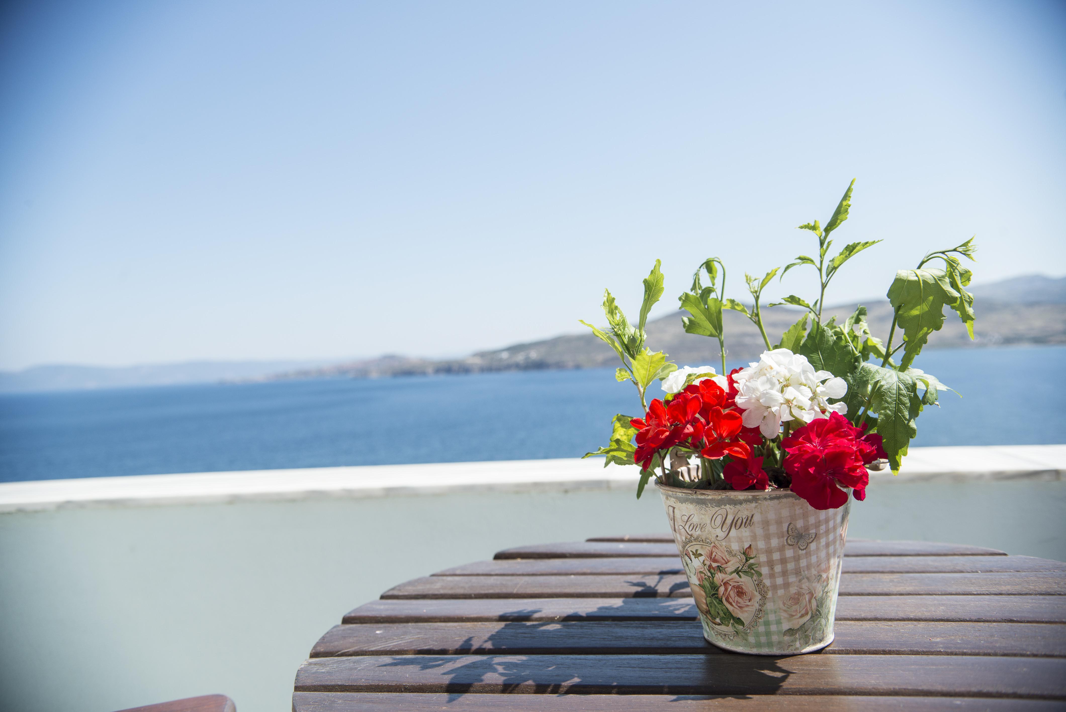 Clara Resort Pétra Eksteriør bilde